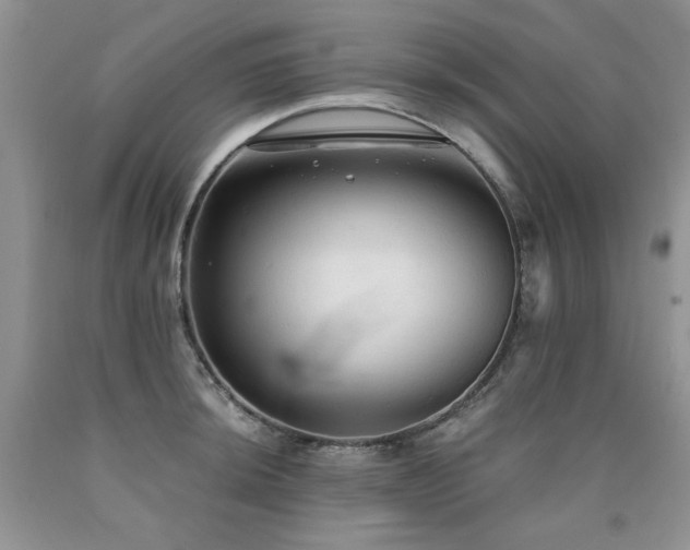X0000090771044200707201434