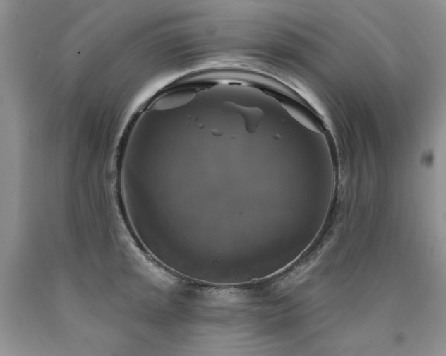 X0000090771045200707201434