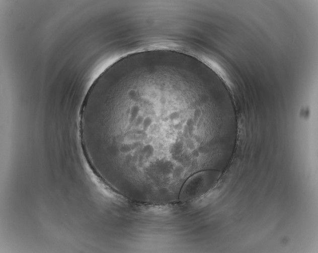 X0000090771047200707201434