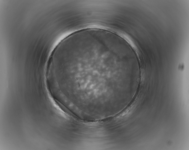 X0000090771048200707201434