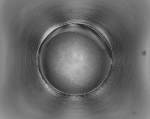 X0000090771050200707201434