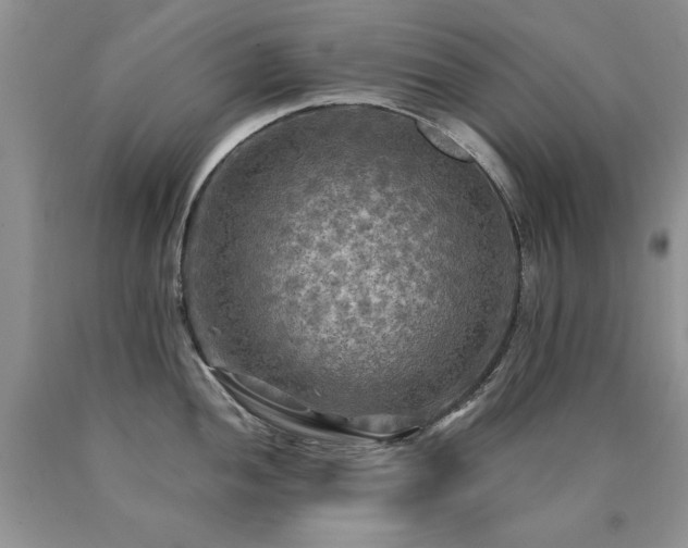 X0000090771052200707201434