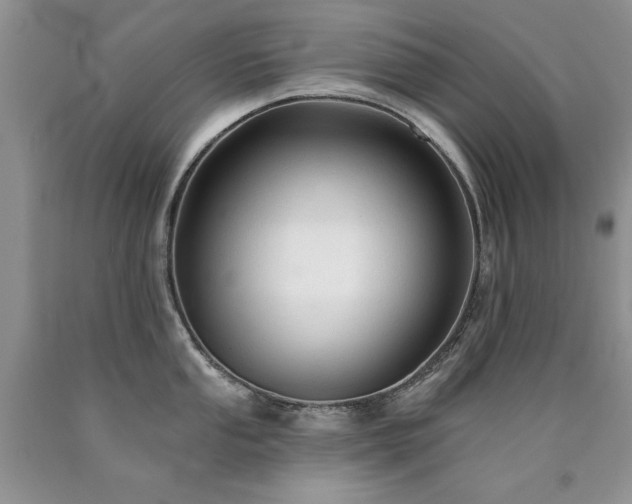 X0000090771053200707201434