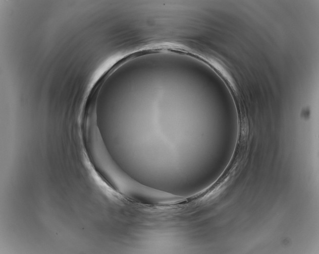 X0000090771054200707201434