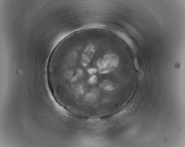 X0000090771055200707201434