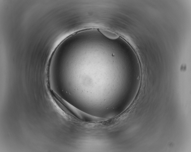 X0000090771056200707201434