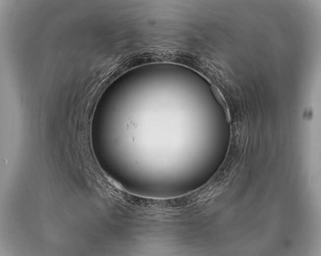 X0000090771057200707201434