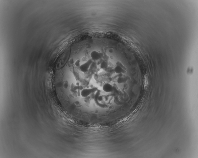 X0000090771059200707201434