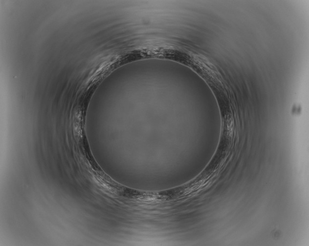 X0000090771060200707201434