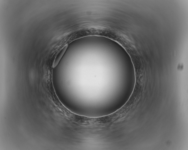 X0000090771061200707201434