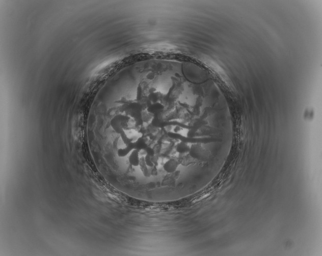 X0000090771063200707201434
