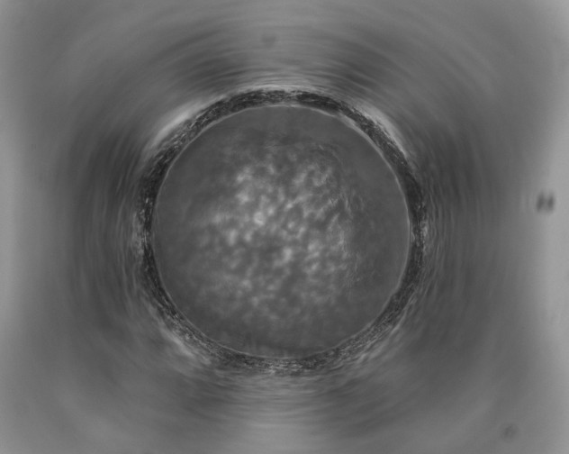 X0000090771064200707201434