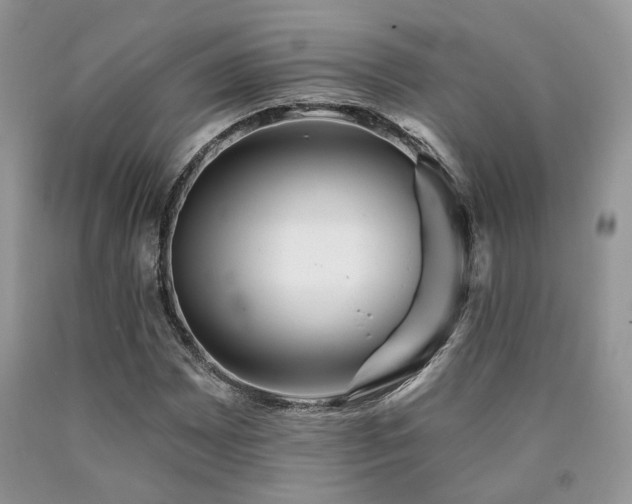 X0000090771065200707201434