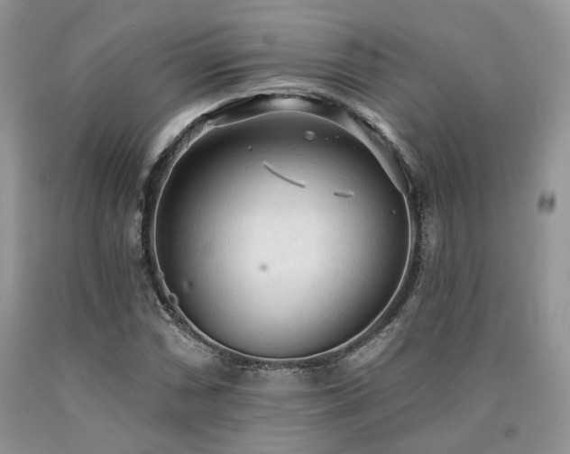 X0000090771066200707201434