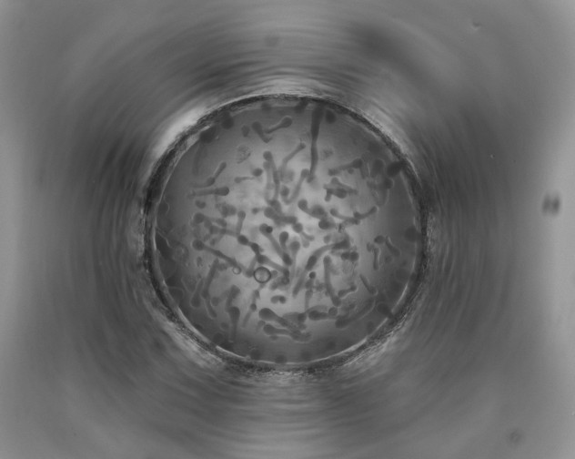 X0000090771067200707201434