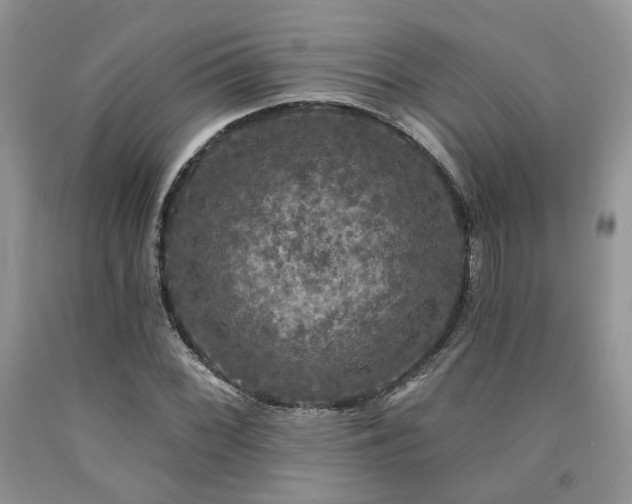 X0000090771068200707201434