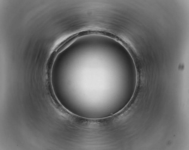 X0000090771070200707201434