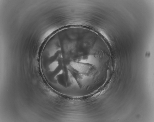 X0000090771071200707201434
