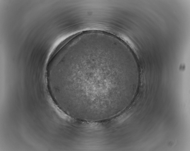 X0000090771072200707201434
