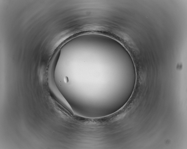 X0000090771073200707201434