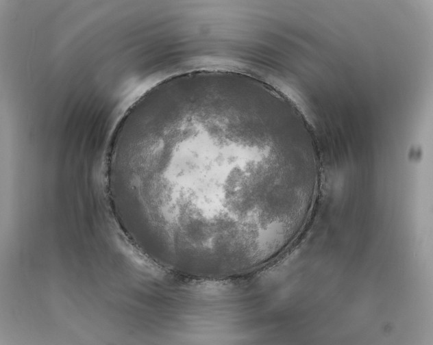X0000090771074200707201434