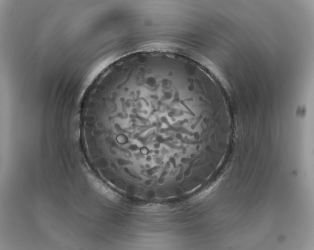 X0000090771075200707201434