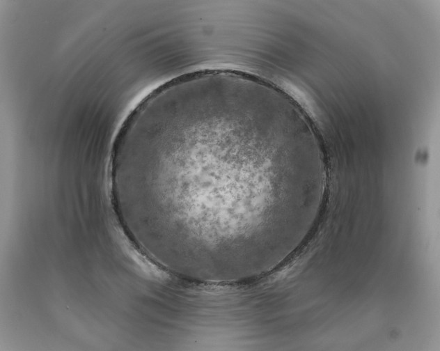 X0000090771076200707201434