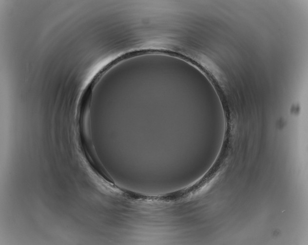 X0000090771077200707201434