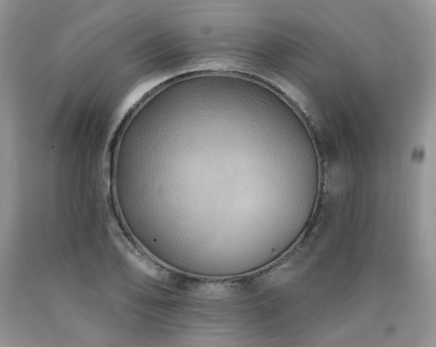 X0000090771078200707201434