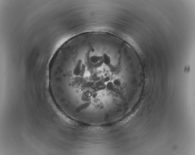 X0000090771079200707201434