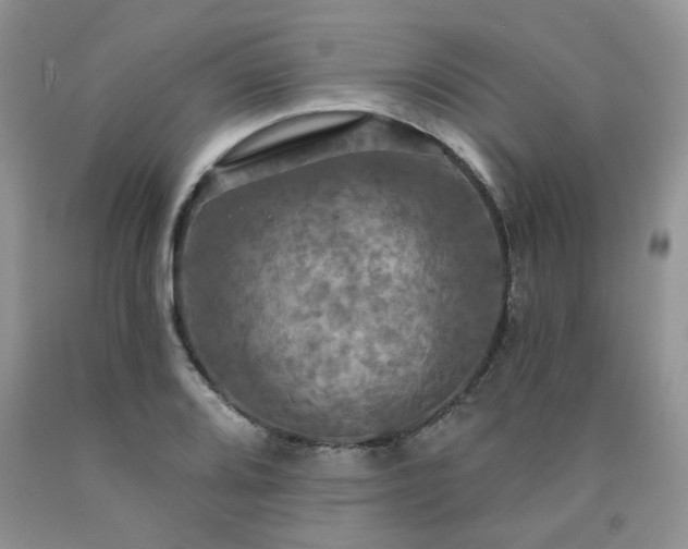 X0000090771080200707201434