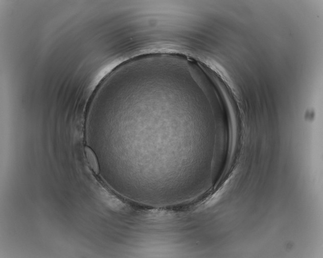 X0000090771081200707201434