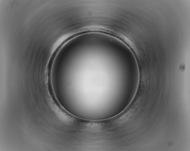 X0000090771082200707201434