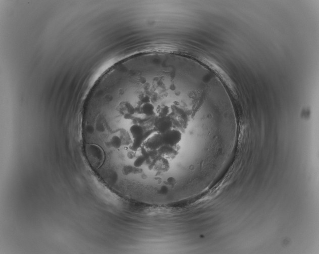 X0000090771083200707201434