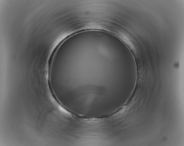 X0000090771084200707201434
