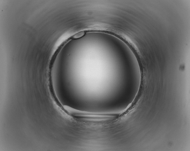 X0000090771085200707201434