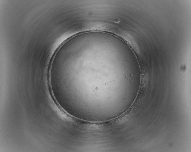 X0000090771086200707201434