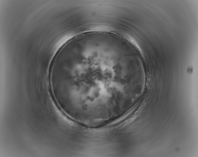 X0000090771087200707201433