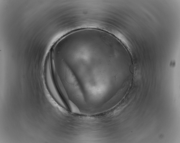 X0000090771088200707201433
