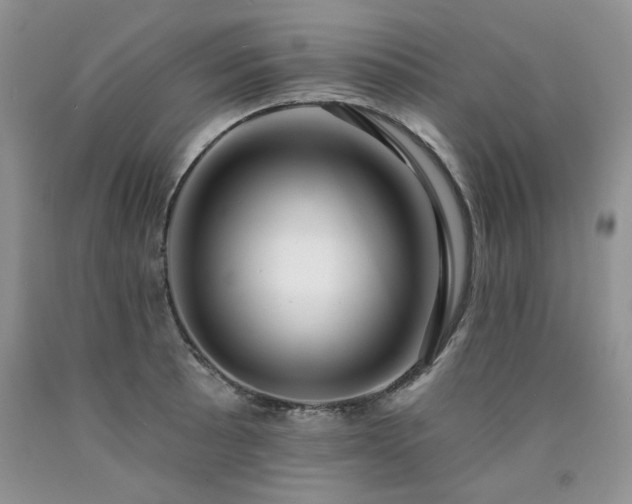X0000090771089200707201433