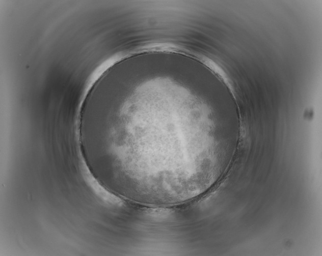 X0000090771090200707201433