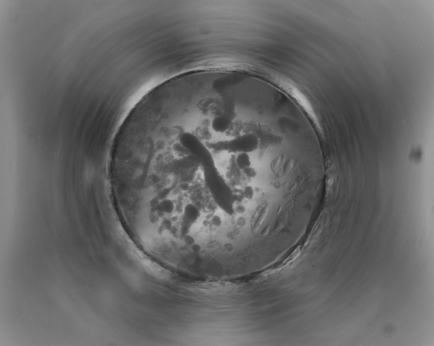 X0000090771091200707201433