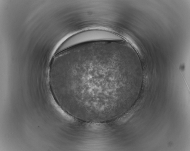 X0000090771092200707201433