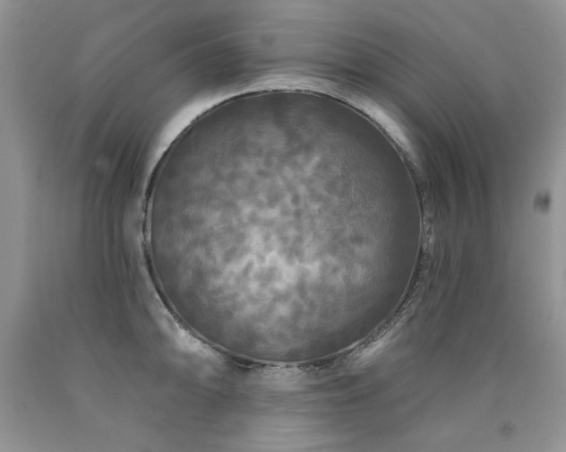 X0000090771094200707201433