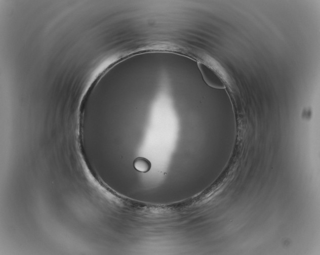 X0000090771095200707201433