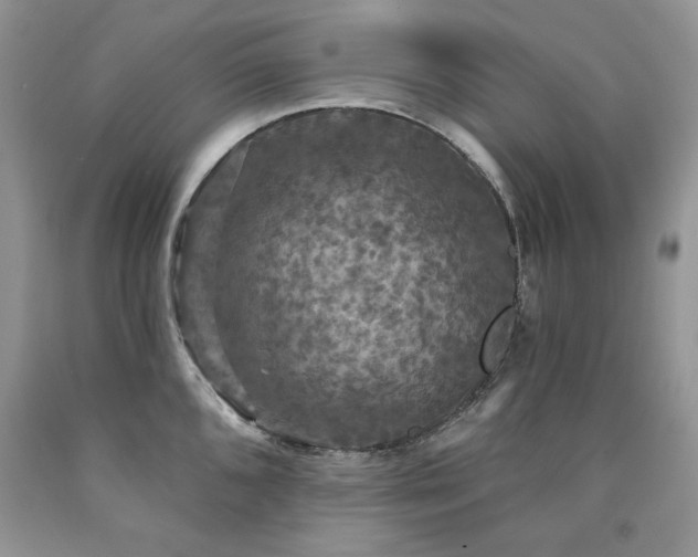 X0000090771096200707201433