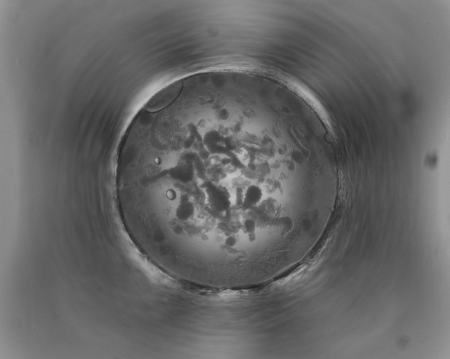 X0000090771099200707201433