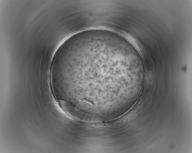 X0000090771100200707201433