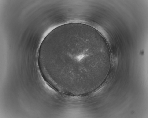 X0000090771102200707201433