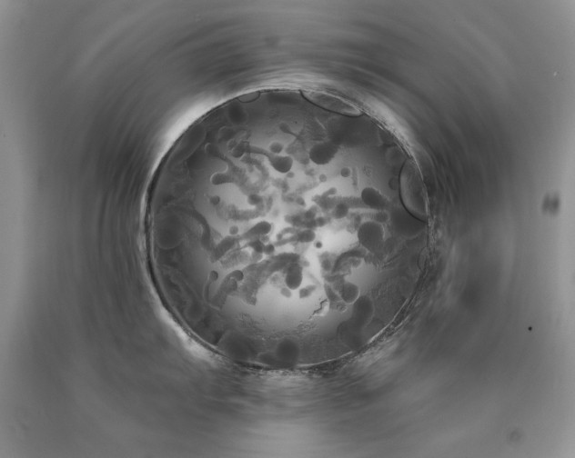 X0000090771103200707201433